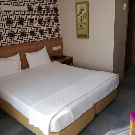 酒店 尼斯皇家酒店 3*