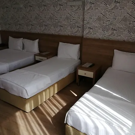 尼斯皇家酒店 酒店