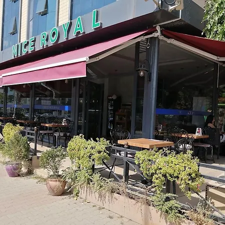 酒店 尼斯皇家酒店
